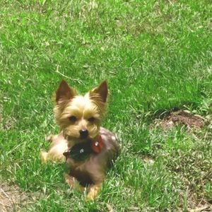 Meet your Posher, Beverly